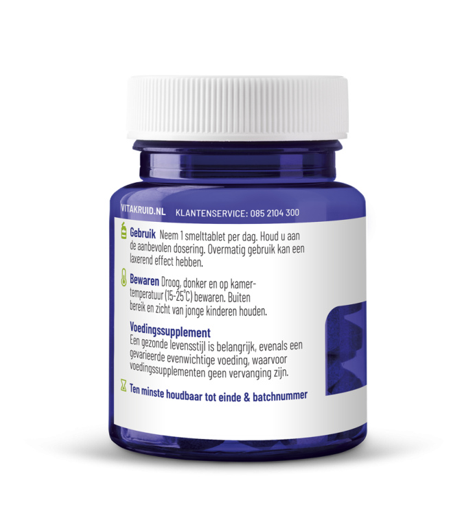 Vitakruid B12 1000 mcg Methylcobalamine