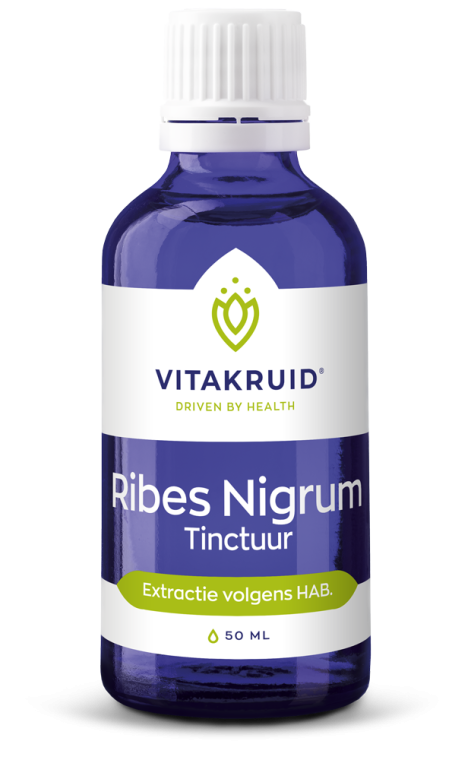 Vitakruid Ribes Nigrum tinctuur